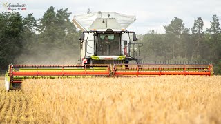 Claas Lexion 8900 | HARVEST 2020 - AgroVation | ŽNĚ ječmene 2020