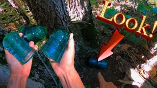 How To Find Glass Insulators! Telegraph Insulator Hunting Tips and Tricks!