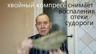 Хвойные компрессы снимают воспаления,  отеки,  судороги. Опыт Куликова