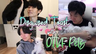 Disguised Toast with Pets to BRIGHTEN up your day  | OTVF