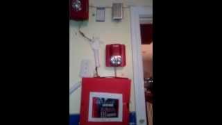 New Fire Alarm System Preview!!!