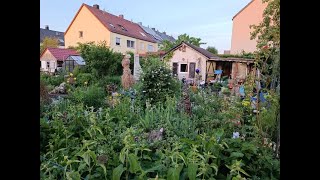 Naturgarten am 27.05.2023: Gartenrundgang durch eine grüne Oase und dickes Danke an tolle Nachbarn