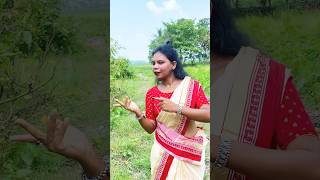 Kunkal kada Re….#trending#viralshort#murmusvlog