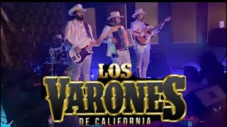 Ahora Me Insistes - Los Varones De California (En Vivo)