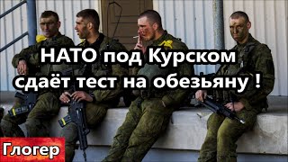 НАТО и США под Курском , и очереди на тесты ! Гитлер был самым продвинутым человеком среди нас !