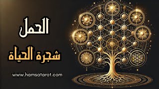 🕯️الحمل ♈️ قراءة شجرة الحياة 🌳 آمن بذاتك🫶وامضِ قدمًا👣واجعل نجاحك ردًا على المنتقدين🌟🥇