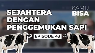 KAMU BISA "Sejahtera dengan Penggemukan Sapi" - Episode 43