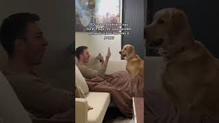 This golden retriever loves magic #goldenretriever #dogs #cute