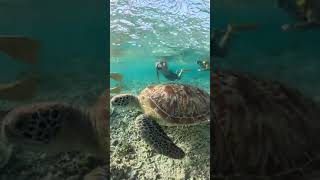 Snorkeling at the shallow waters