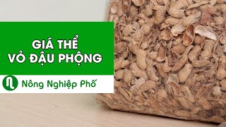 GIÁ THỂ VỎ ĐẬU PHỘNG TRỒNG LAN | nongnghieppho.vn