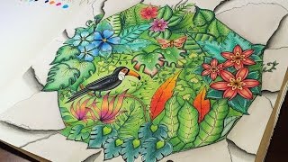 Magical Jungle Coloring Competition | Toucan | Selva Magica