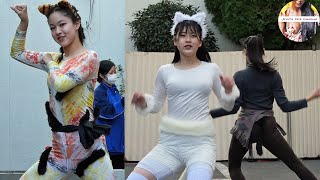 中野にぎわいフェスタ2022 Vol 1 堀越学園高校ダンス部のかわいいダンス ～ハプニングにも負けないキャッツ！～