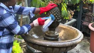 Cleaning Up the Front Fountain, Courtyard Fountain, Winterizing  Some Annuals…