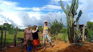 Fomos na roça meus pais vê como está as plantação de milho e pegamos maxixe