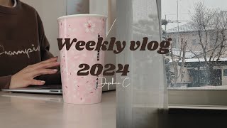 Weekly diary ❄️ FEB | REAL snowing day | keep eating keep workouting | fullfilling home time