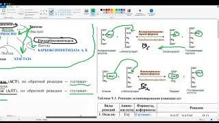 Переваривание белков. Трансаминирование АСТ АЛТ. Дезаминирование. Коэффициент де Ритиса