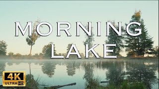 4K Morning Lake Ambience - Birds, Frogs, Ducks / Relaxing Video for Sleep / Soothing Sounds