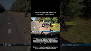 Появилось видео, как произошло жесткое ДТП возле Бреста