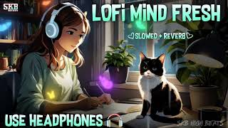 Mind Relax Mashup💞- Slowed + Reverb🎧 | Mind Fresh Lofi | Nonstop Hindi Love😍 Mashup | Skb High Beats