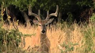 Summer Waterhole Photography