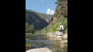 Dry Fly Morning during a Caddis Hatch