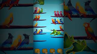 Bird 🐦 Short Puzzle Level 19 Gameplay#shorts #youtubeshorts #naeemgamingshorts