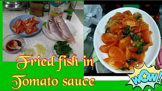 Fried fish Tomatoes sauce