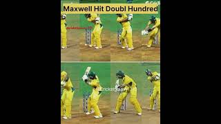 Outstanding  Victory by Australia #cricketshorts @CricketGalaxy1315 #maxwellbatting #worldcup