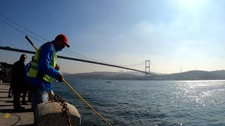 Ortaköy'de Balık avı