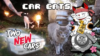 2 NEW JDM CARS join the collection + meet our car cats