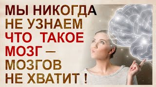 Цитаты о мозге и генах нейробиолога Татьяны Черниговской.