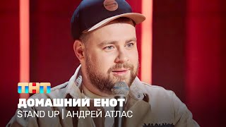 Stand Up: Андрей Атлас - домашний енот @TNT_television