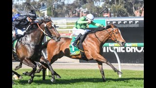 Geelong Racing Preview Listed Black Pearl Stakes Day (06/01/24) | Sky High Horse Racing