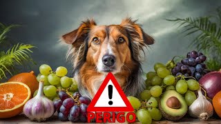 Evite Desastres - Alimentos Perigosos para Cães!