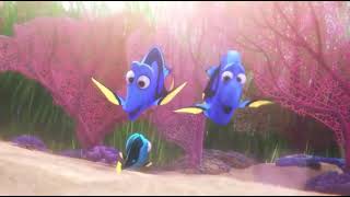 Finding Dory: - Hi, Dory! - Ahoy there!