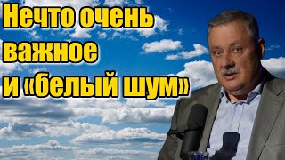 Дмитрий Евстафьев. Нечто очень важное и «белый шум»