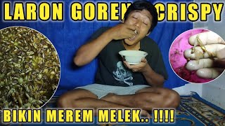 🔴COBA MAKAN LARON GORENG CRISPY, RASANYA DI LUAR DUGAAN TERNYATA. (Silaru)