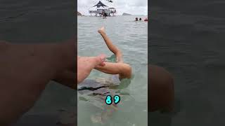 ¿Puedes aguantar haciendo el pino 🔥 durante 10 segundos en la playa 🏖️? (RETO DEL DIA)