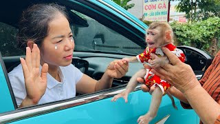 Mom's sadness when having to leave baby monkey Tina