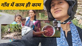 गाँव आते ही काम काम  यहा चली जा, वहा चली जा ये काम वो काम llphadi cultural vlogll