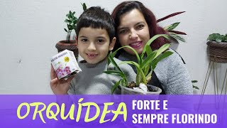 SEGREDO REVELADO | Como deixar sua ORQUÍDEA forte e sempre FLORINDO