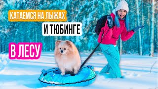 СОБАКА КАТАЕТСЯ НА ТЮБИНГЕ В ЛЕСУ | ШПИЦ УЧУЯЛ ДИКИХ ЗВЕРЕЙ - ПРОГУЛКА НА ЛЫЖАХ