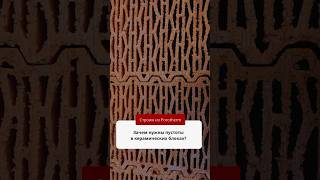 А вы знали, какую роль выполняют пустоты в керамических блоках? Рассказываем! #shorts #porotherm