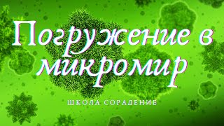 Работа с клеткой  #Клетка #погужениеВмикромир #Гарат #школаCорадение