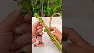 bamboo Creation with hydraulic spring#bamboo #shortvideo