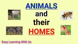 Animals and their homes | Easy Learning With Us