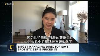 比特币现货ETF获批，对比特币价格的影响？#crypto #bitcoin #etf