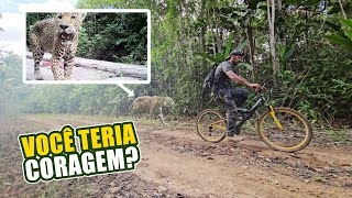 JA PEDALOU NUMA CICLOVIA + SELVAGEM QUE ESSA?