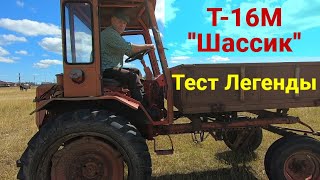 Трактор Т-16М "Шассик" . Обзор . Тест-Драйв