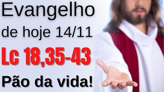 Evangelho do dia, Segunda-feira 14/11, Lc 18, 35-43, Pão da Vida!